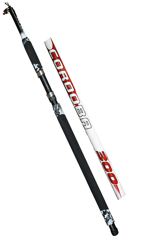CORDOBA 3M 100-250 AKSİYON TELESKOPİK KAMIŞ