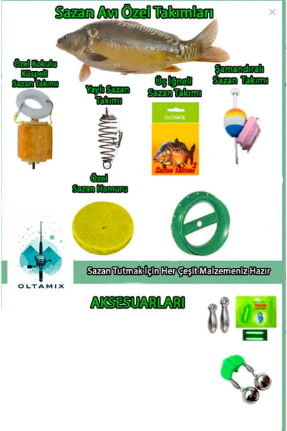 Profosyonel Deniz Ve Göl Olta Takım FULL SET 200 TL DEĞERİNDE "BALIK ALARMI HEDİYELİ" 100-250gr 100-250 AKSİYON KARBON ALAŞIMLI TELESKOPİK KAMIŞ Bauer Riona 4000 4+1 Bilyalı 2