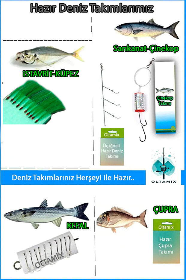 OLTAMİX Profosyonel Deniz Ve Göl Olta Takım 100-250gr Atarlı Kamış