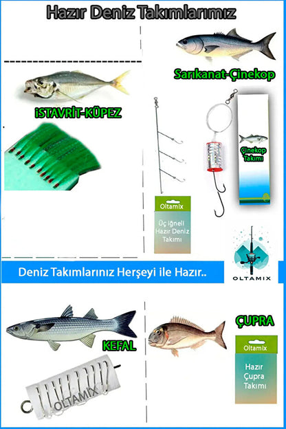 OLTAMİX Profosyonel Deniz Ve Göl Olta Takım 100-250gr Atarlı Kamış